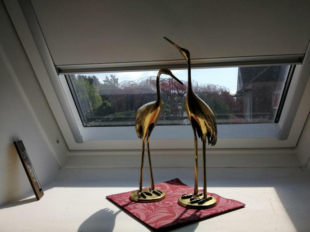 Ardea Alba Apartment Wunstorf Luaran gambar